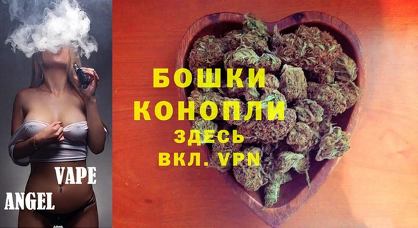 дурь Белокуриха