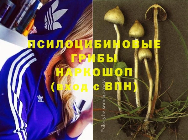 дурь Белокуриха