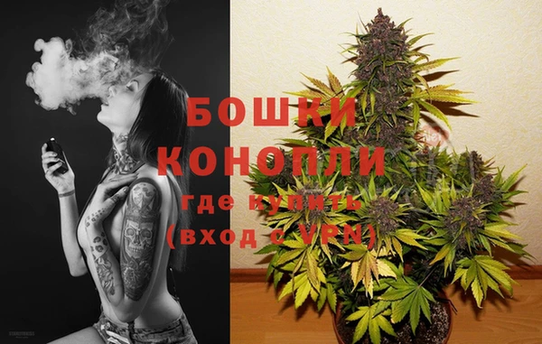 дурь Белокуриха